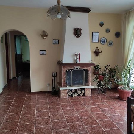 Guesthouse Oasis-Шабла Екстериор снимка