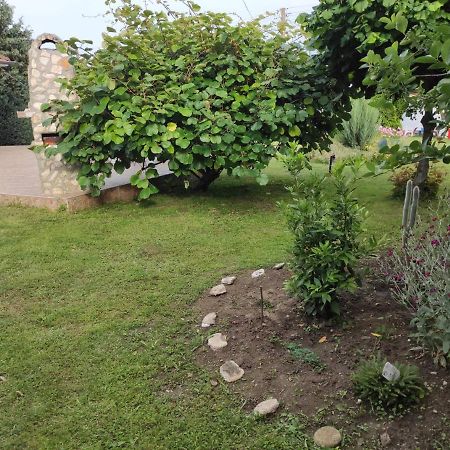 Guesthouse Oasis-Шабла Екстериор снимка