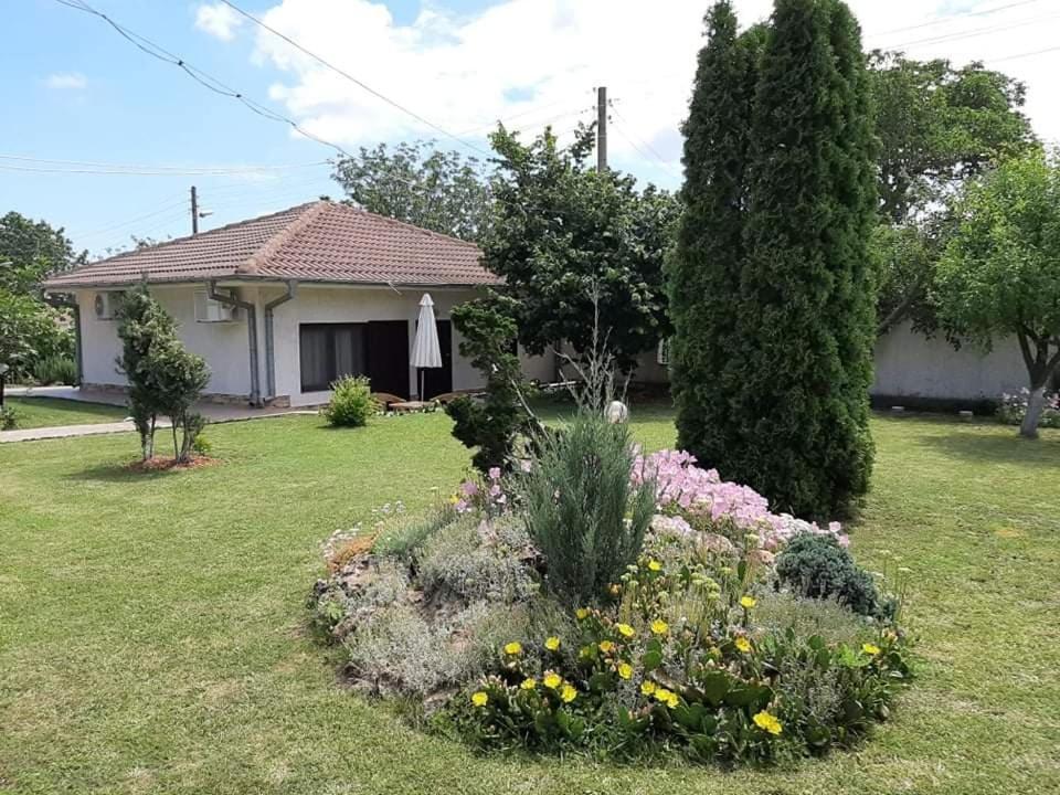 Guesthouse Oasis-Шабла Екстериор снимка