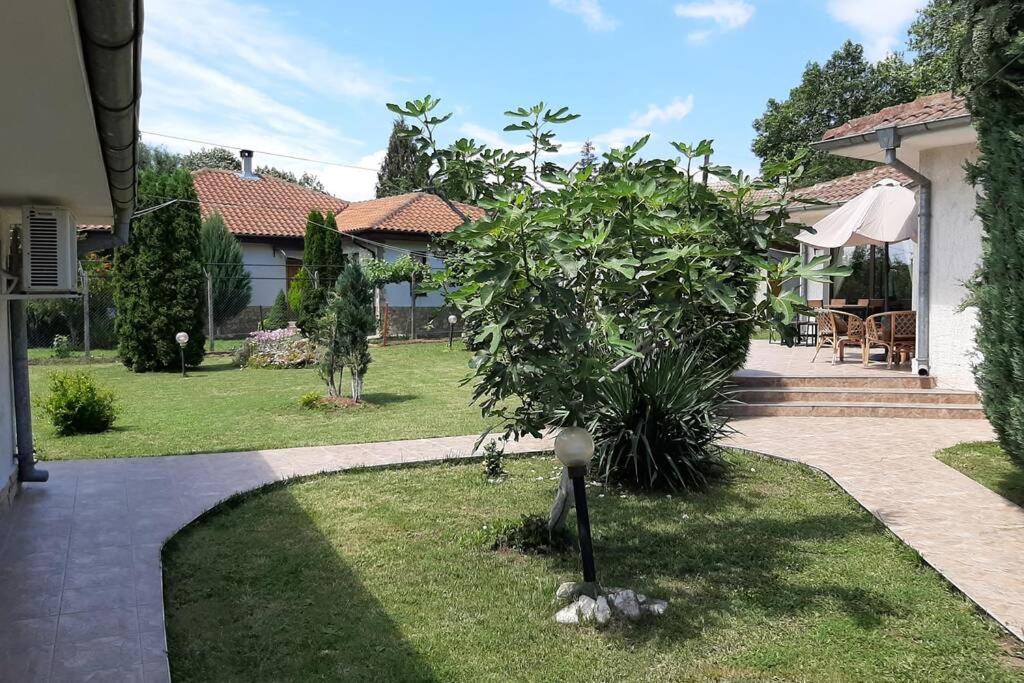 Guesthouse Oasis-Шабла Екстериор снимка