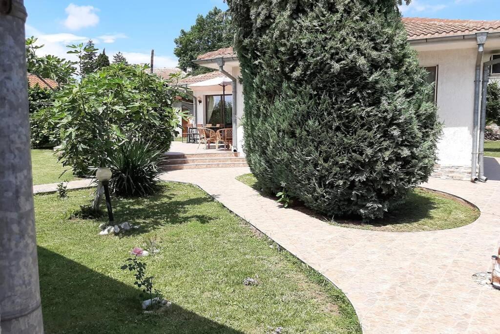 Guesthouse Oasis-Шабла Екстериор снимка