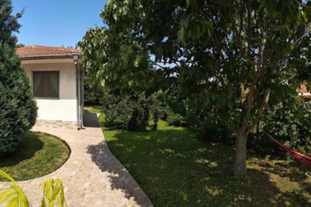Guesthouse Oasis-Шабла Екстериор снимка