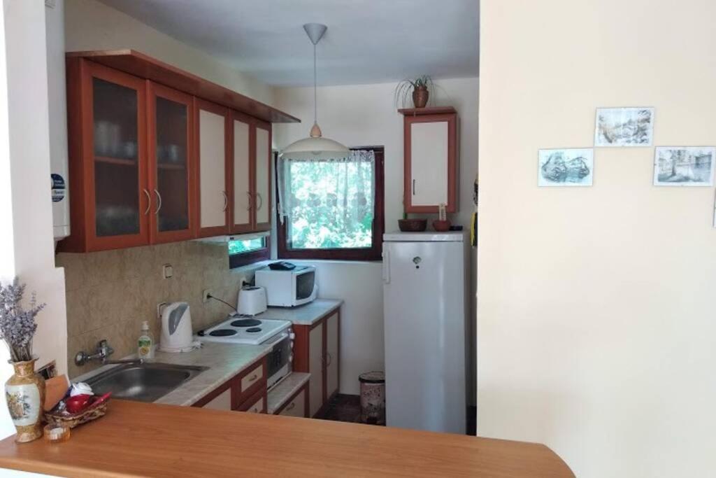 Guesthouse Oasis-Шабла Екстериор снимка