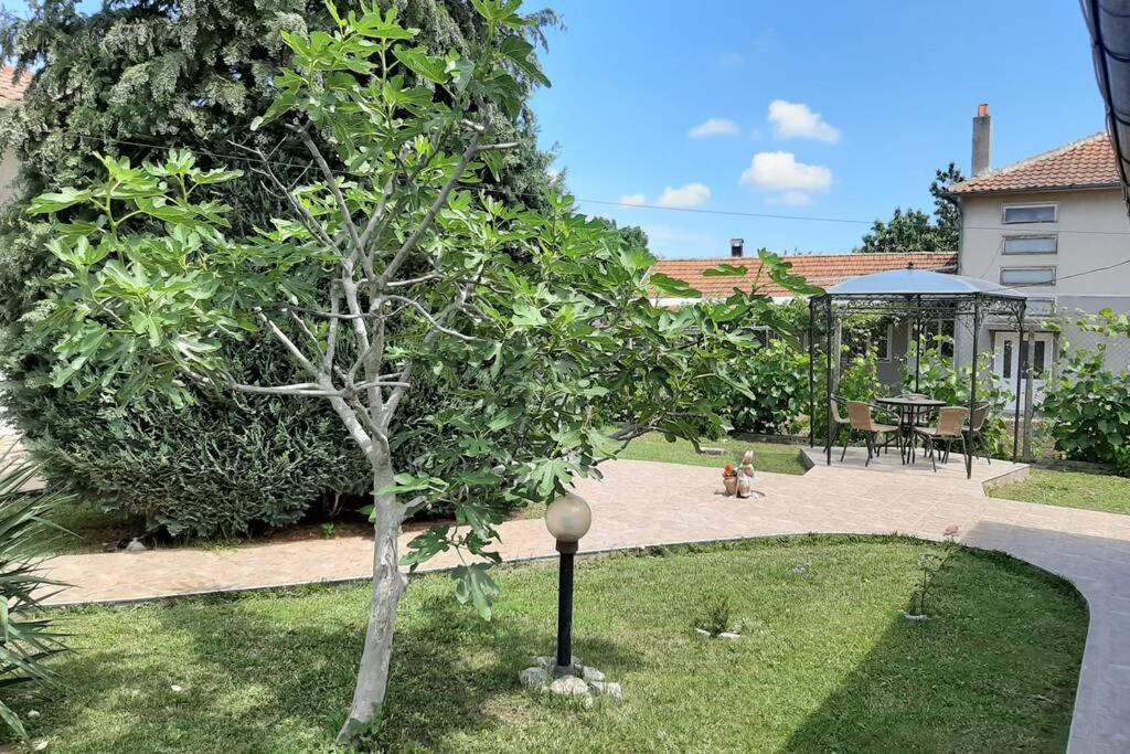 Guesthouse Oasis-Шабла Екстериор снимка